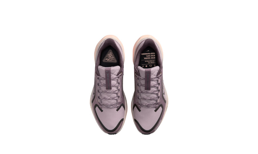 Nike Air Zoom Pegasus 41 Gore-Tex Platinum Violet Crimson Tint (Women's)