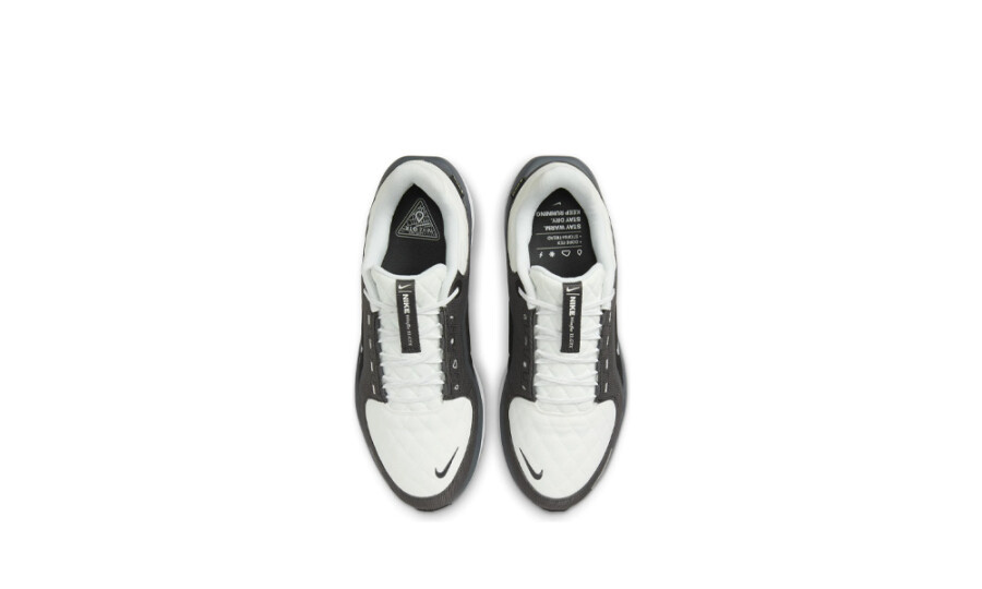 Nike Winflo 11 Gore-Tex Anthracite Black Photon Dust Metallic Silver